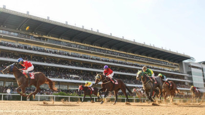 한국마사회, 6.21부 온라인 마권발매 정식운영 개시