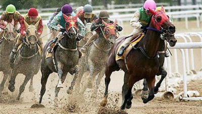 부산경남 렛츠런파크, 8월 경마 일정 발표